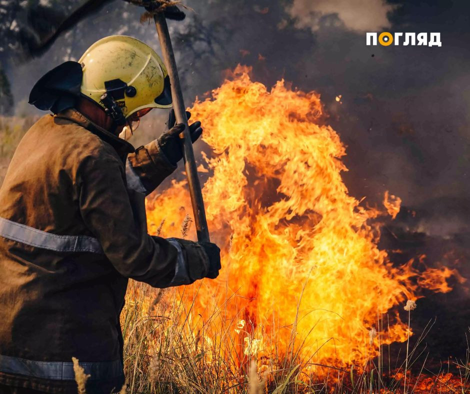 ДСНС врятували ціле село в Київській області від масштабної пожежі (ФОТО) - зображення